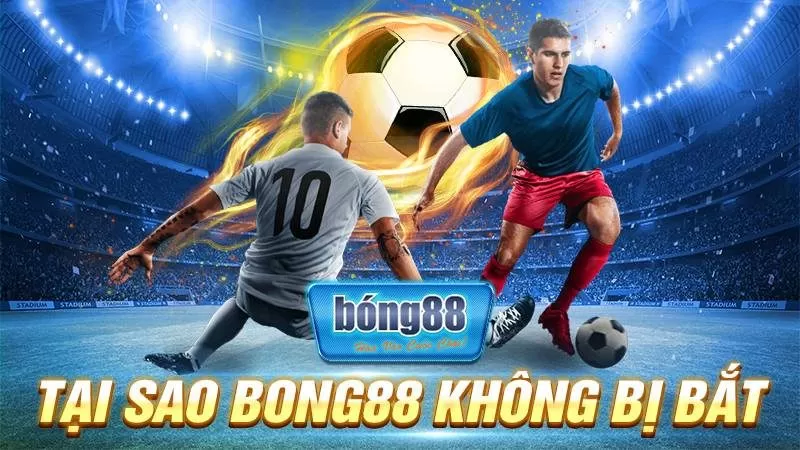 Tại sao Bong88 không bị bắt?